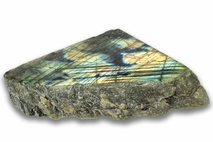 Single Side Polished Labradorite Section - Madagascar #324695